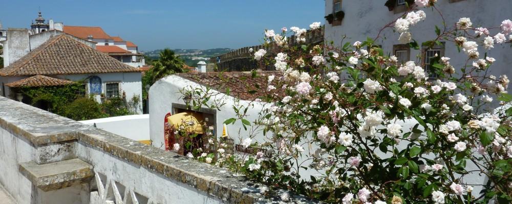 Carmona Appartement São Martinho do Porto Buitenkant foto
